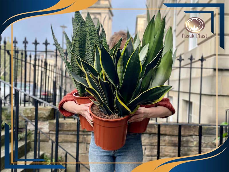 تولید گلدان پلاستیکی