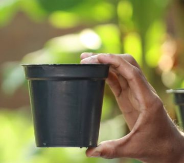 سایز گلدان پلاستیکی