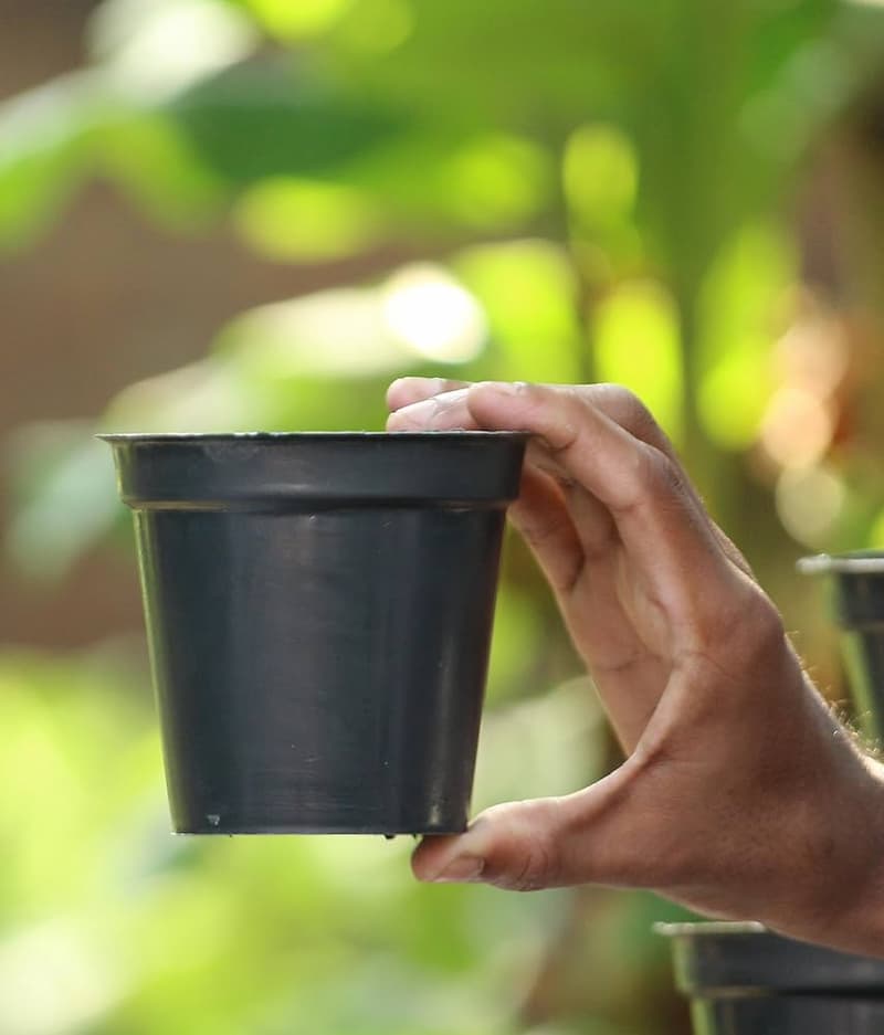 سایز گلدان پلاستیکی