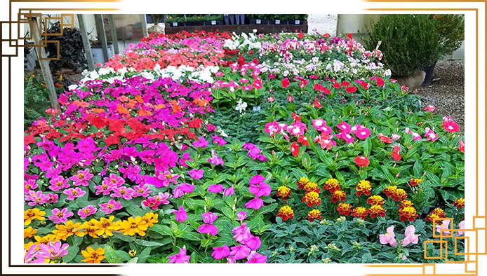 گلدان پلاستیکی مستطیلی