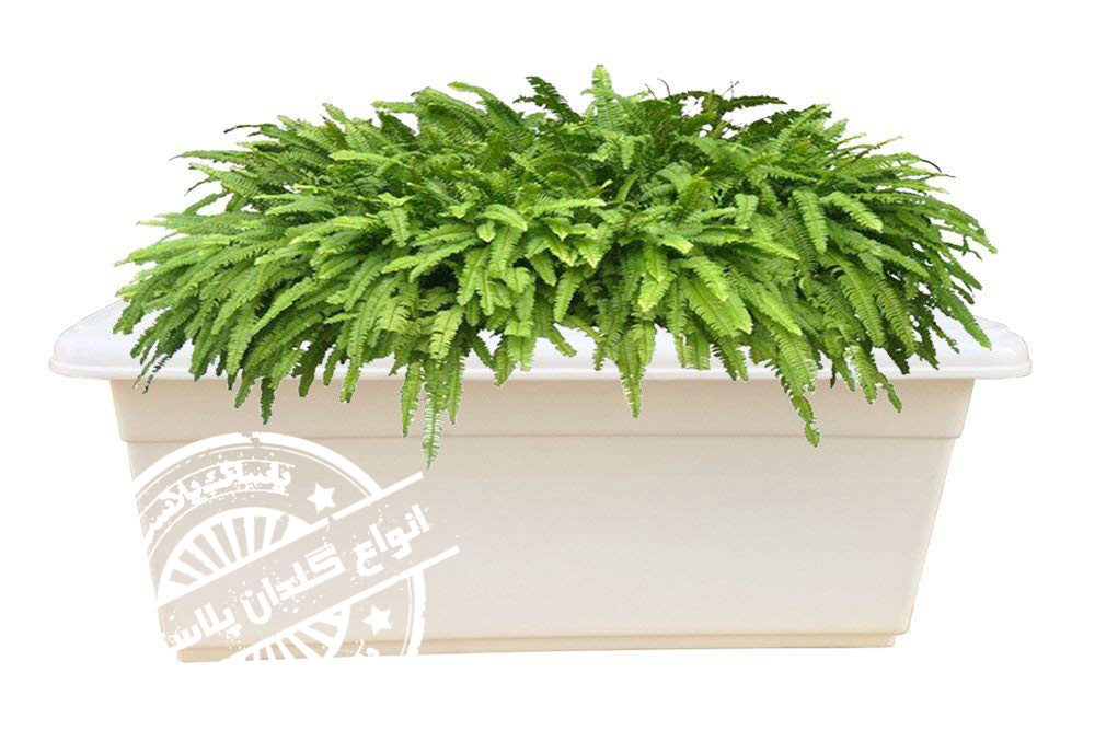 گلدان پلاستیکی مستطیلی