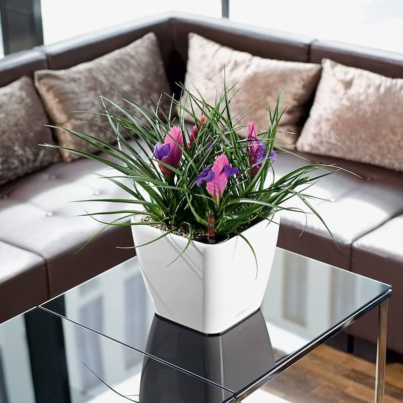 گلدان پلاستیکی مربع