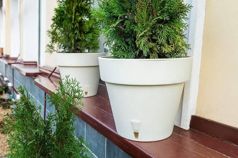 گلدان پلاستیکی سفید