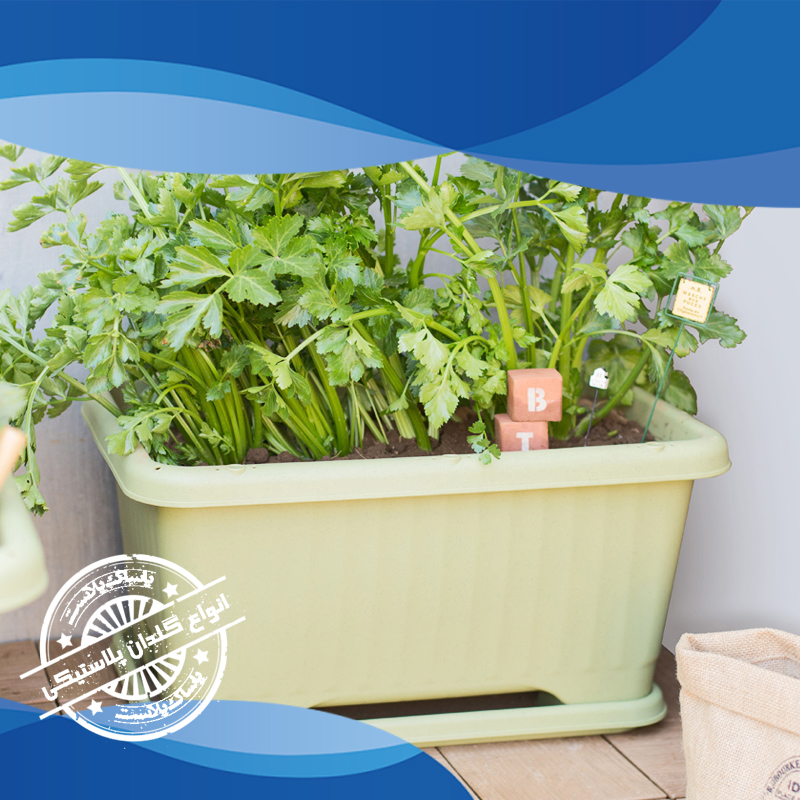 گلدان پلاستیکی بالکنی