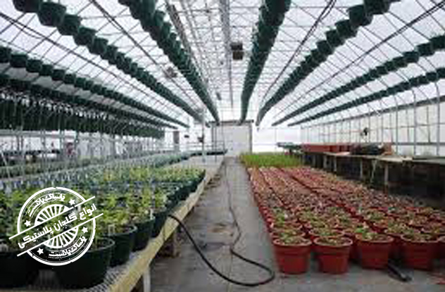 گلدان پلاستیکی سطل