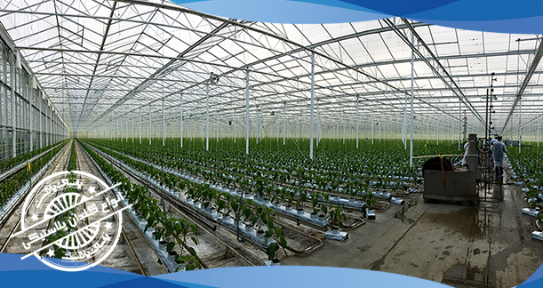 گلدان پلاستیکی سطل