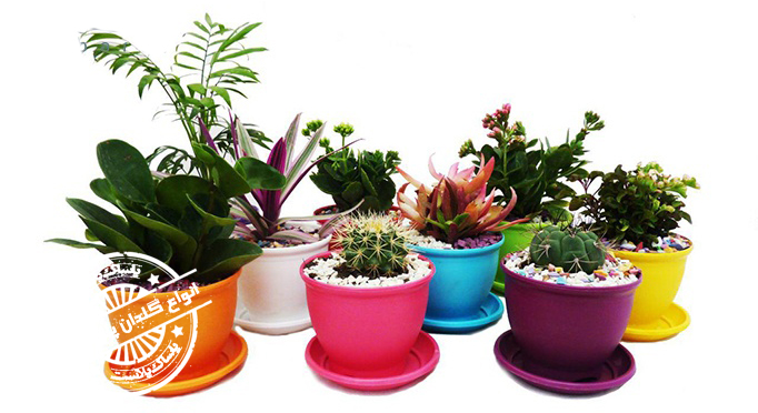 گلدان پلاستیکی عرشیا