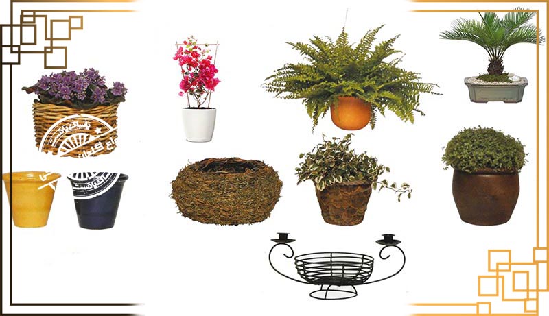 گلدان پلاستیکی ژله ای