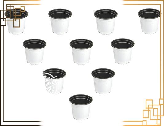 گلدان پلاستیکی ژله ای