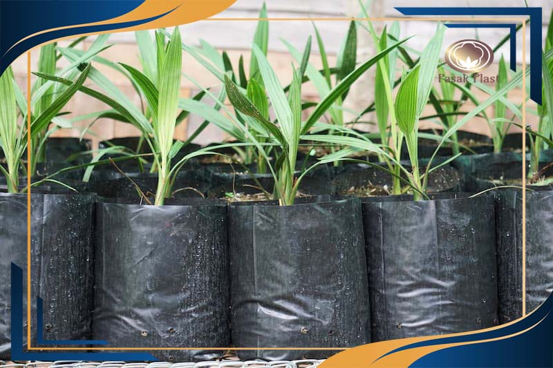 گلدان پلاستیکی سطل 10