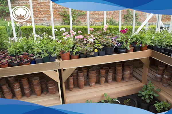 سینی نشا پلاستیکی