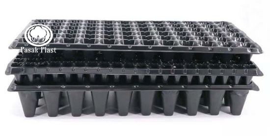 سینی نشا پلاستیکی