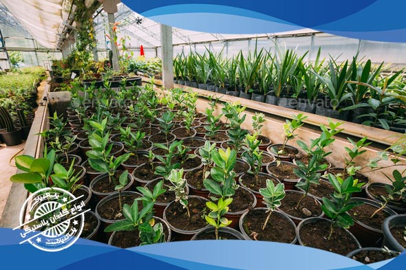 کیسه کاشت نهال