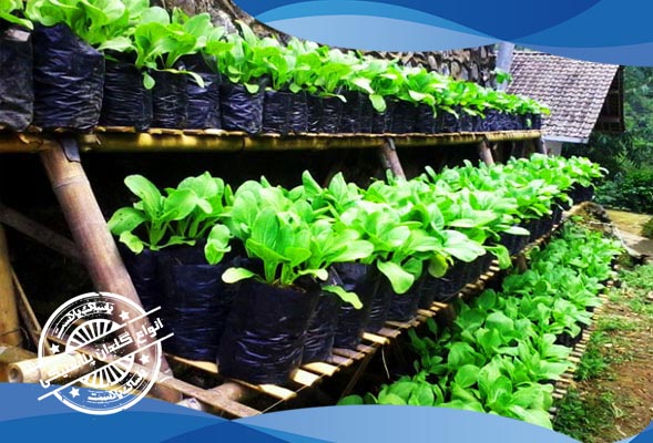 کیسه کاشت نهال