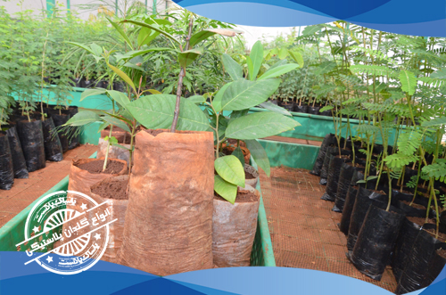 کیسه کاشت نهال