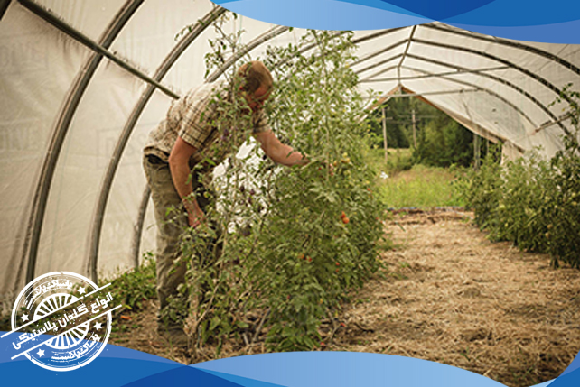 کیسه کاشت نهال