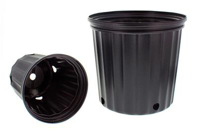 سینی نشا پلاستیکی