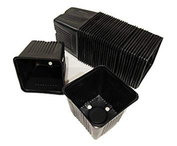 سینی نشا پلاستیکی