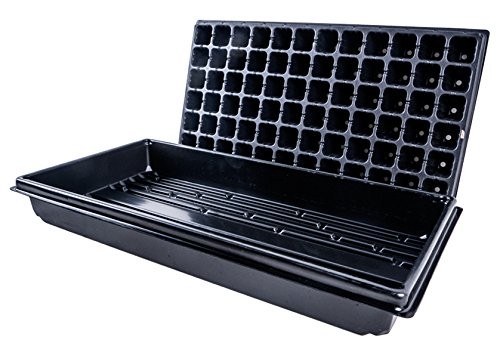 سینی نشا پلاستیکی