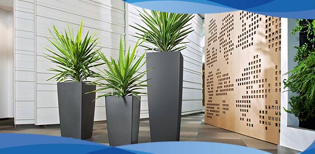 گلدان پلاستیکی بلند