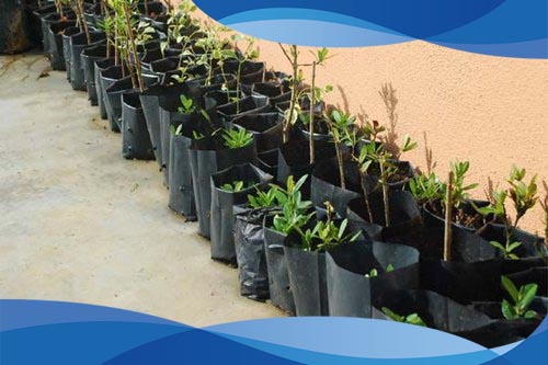 کیسه پلاستیکی کاشت