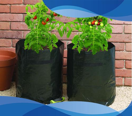 کیسه پلاستیکی کاشت