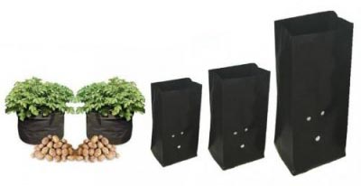 کیسه پلاستیکی کاشت