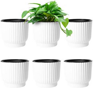 گلدان پلاستیکی خود آبیار