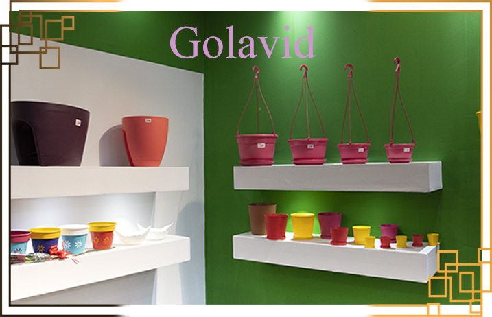 گلدان پلاستیکی گل آوید