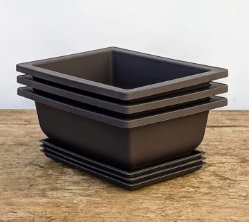 گلدان پلاستیکی بونسای