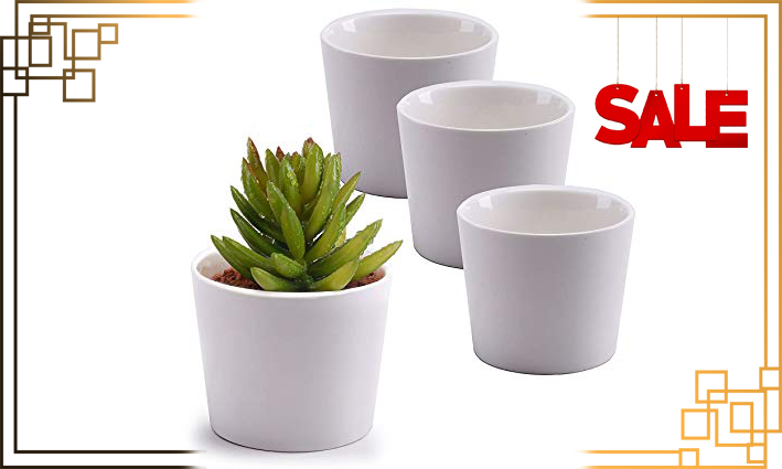 گلدان پلاستیکی کاکتوس