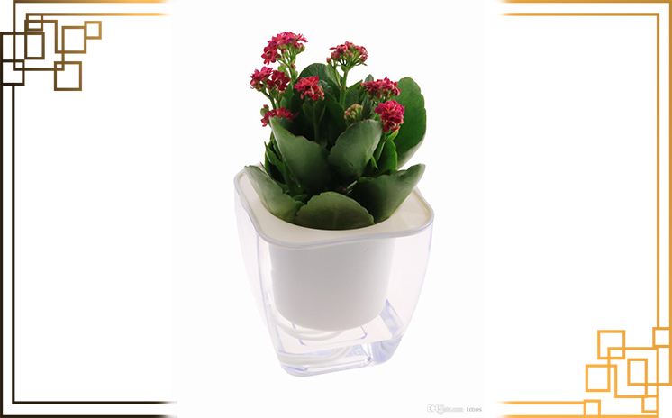 گلدان پلاستیکی خود آبیار