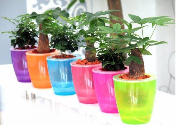 گلدان پلاستیکی خود آبیار