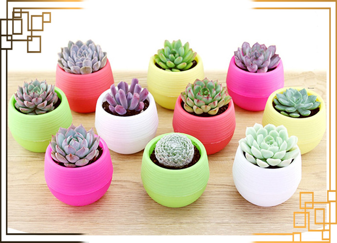 گلدان پلاستیکی رنگی