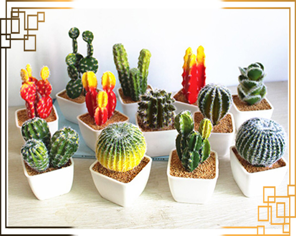 گلدان پلاستیکی رنگی