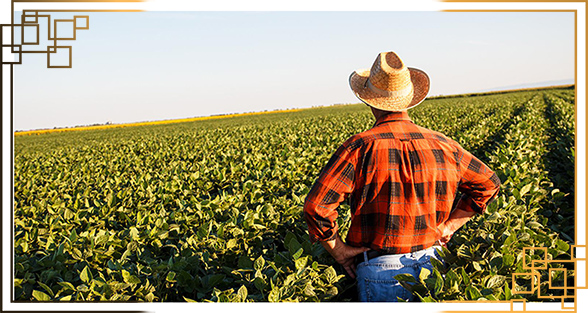 گلدان پلاستیکی ارزان