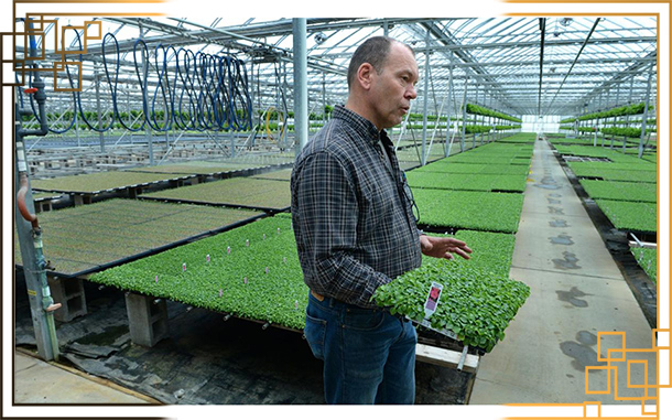 گلدان پلاستیکی ارزان