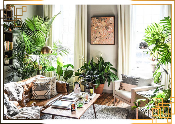 گلدان پلاستیکی خانگی