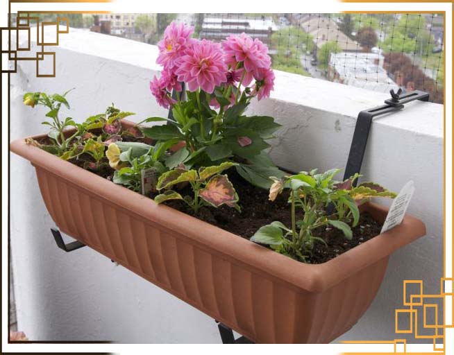 گلدان پلاستیکی بالکنی