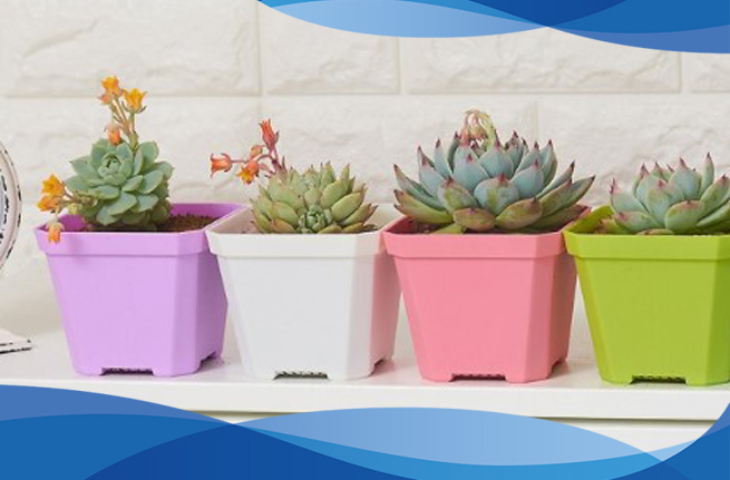 گلدان پلاستیکی یو وی