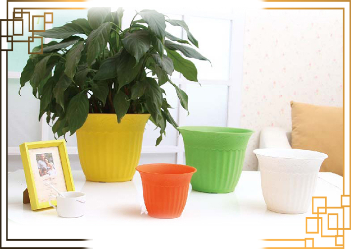 گلدان پلاستیکی پشت پنجره