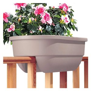 گلدان پلاستیکی پشت پنجره