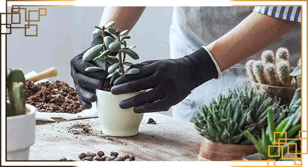 گلدان پلاستیکی متوسط