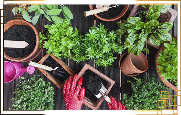 گلدان پلاستیکی متوسط