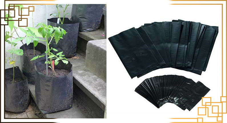 نایلون کشت نهال