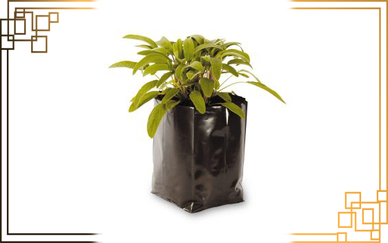 نایلون کشت نهال