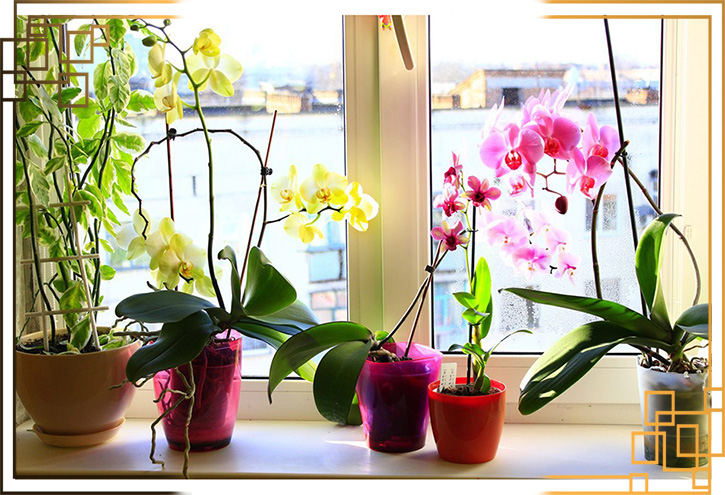 گلدان پلاستیکی شیک