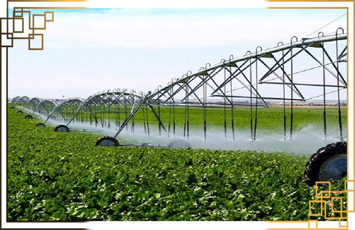 گلدان پلاستیکی کشاورزی