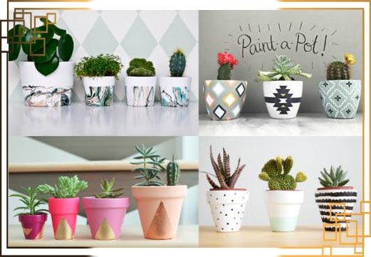 گلدان پلاستیکی کاکتوس