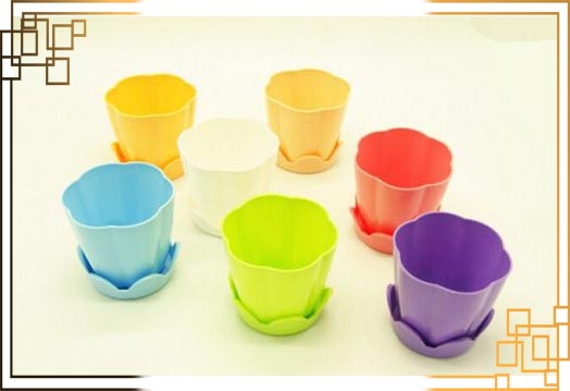 گلدان پلاستیکی کاکتوس